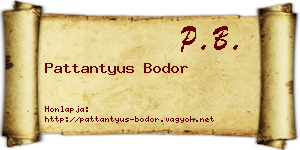 Pattantyus Bodor névjegykártya